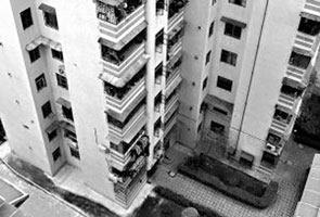 �L�����(xi��ng)���ַ�չ�A(y��)Ӌ(j��)10���e��